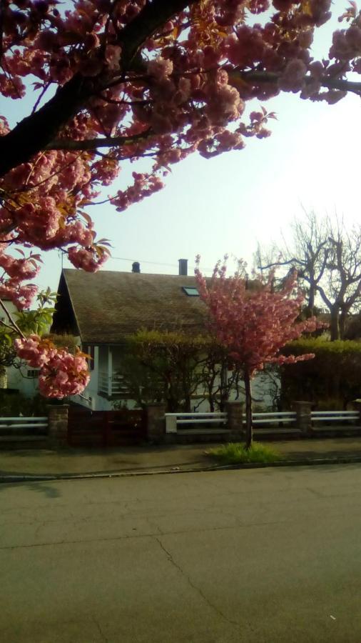Chalet Montsegur Villa Colmar Bagian luar foto