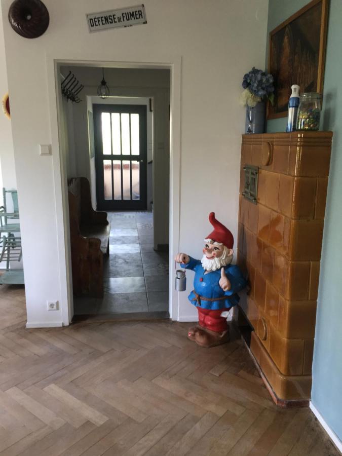 Chalet Montsegur Villa Colmar Bagian luar foto