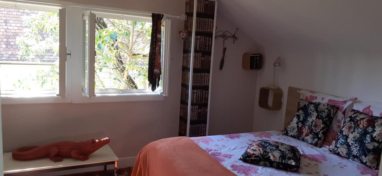 Chalet Montsegur Villa Colmar Bagian luar foto